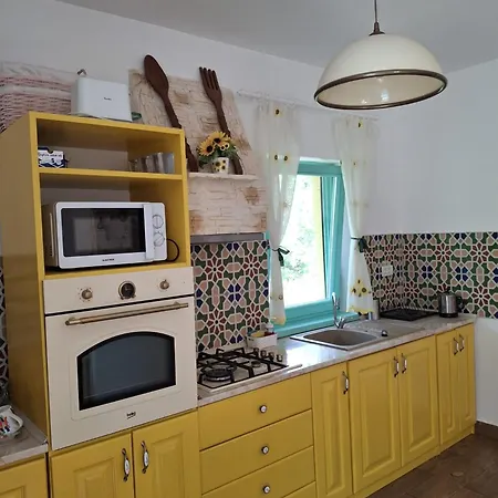 Alloggio per agriturismo Pensiunea Happy Schitu Topolnitei